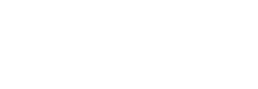 BRI Insurance
